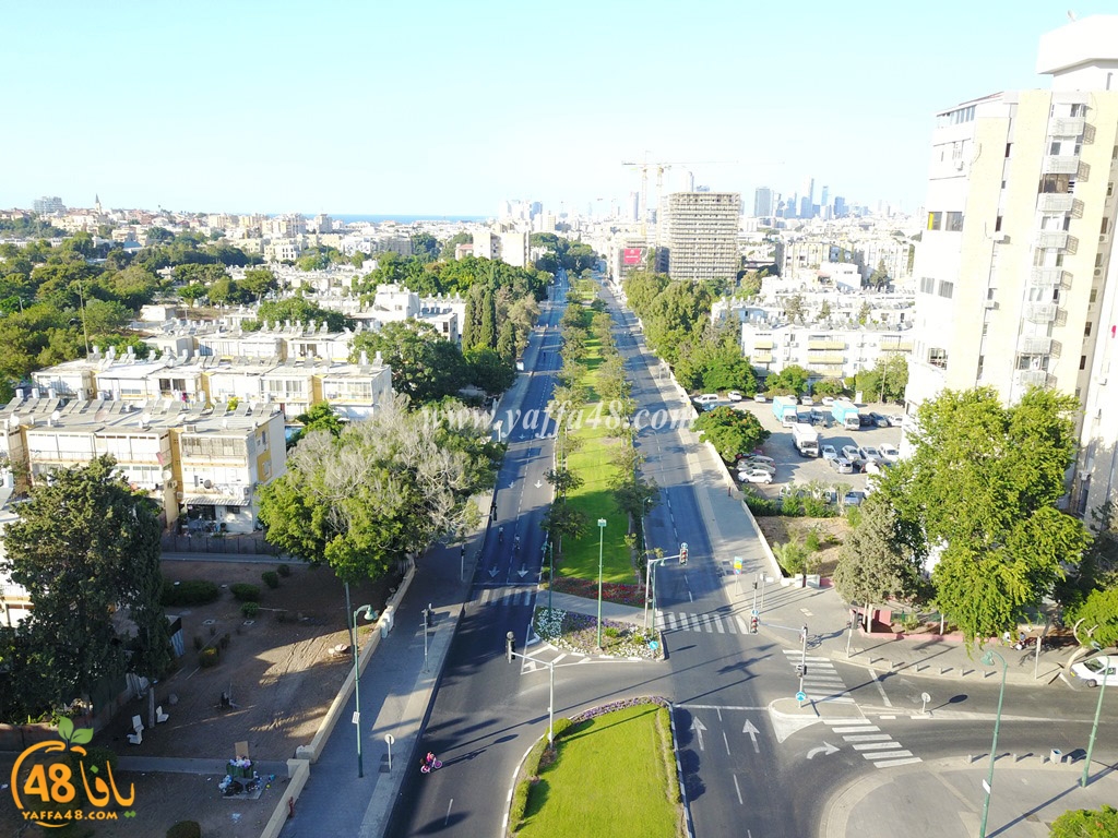 jamal basha tsterre (34).JPG